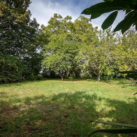 Le Petit Mona Celena Civaux